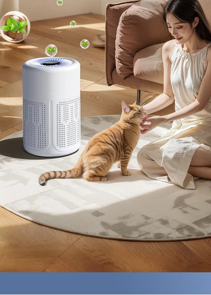 HOMEFISH USB Air Purifier Negative Ion Household Air Formaldehyde Removal Odor Filtration Indoor Odor Removal