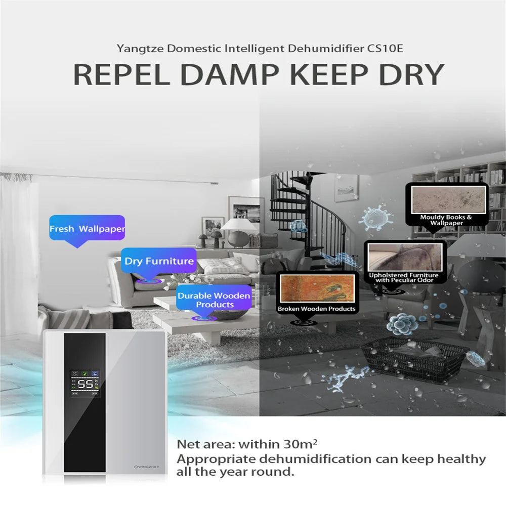 2 in 1 Dehumidifier and Air Purifier Moisture Absorber Household Mute Bedroom Basement Remote Control Timing External Water Pipe