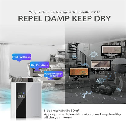2 in 1 Dehumidifier and Air Purifier Moisture Absorber Household Mute Bedroom Basement Remote Control Timing External Water Pipe
