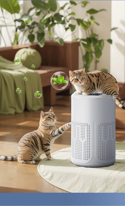 Negative Ion Mini Desktop Home USB Purifier Remove Smoke and Odor and Dust Particles HEPA Filter Efficient Purifying Air