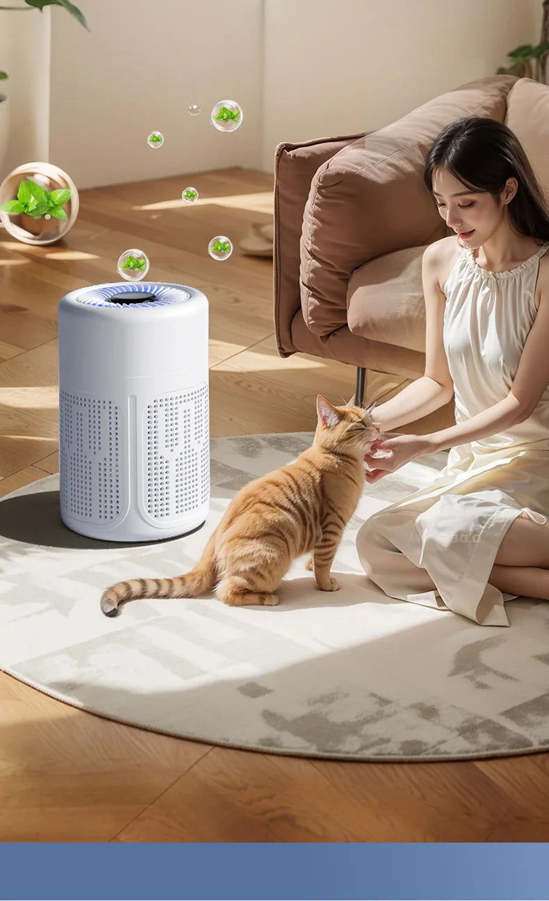 Negative Ion Mini Desktop Home USB Purifier Remove Smoke and Odor and Dust Particles HEPA Filter Efficient Purifying Air