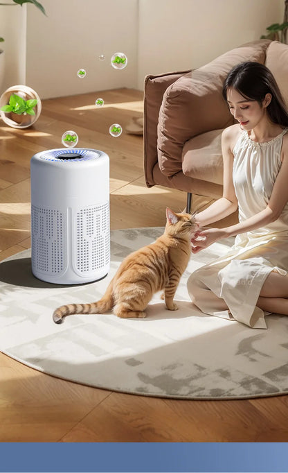 Negative Ion Mini Desktop Home USB Purifier Remove Smoke and Odor and Dust Particles HEPA Filter Efficient Purifying Air